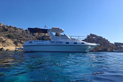 Seabird 32